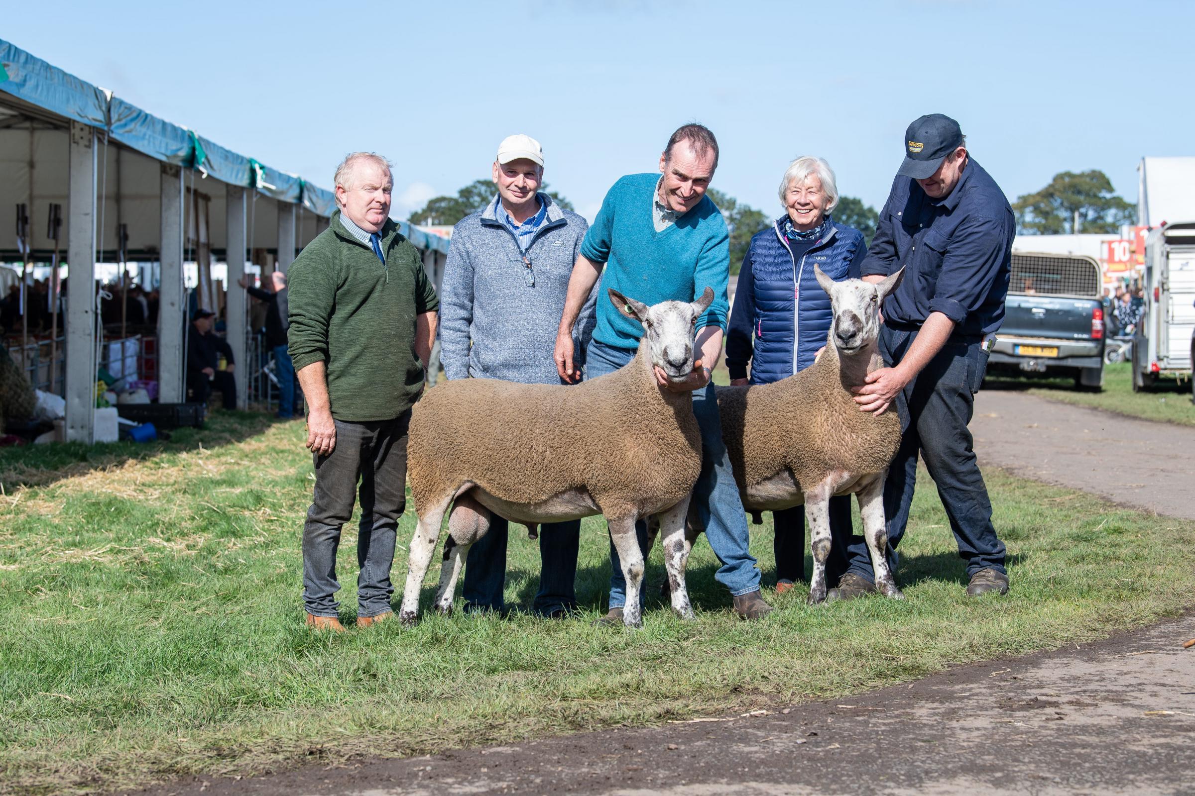  Newbigging Walls team with the £15,000 sale topper and its pen mate which sold for £6000 Ref:RH130919108 Rob Haining / The Scottish Farmer..