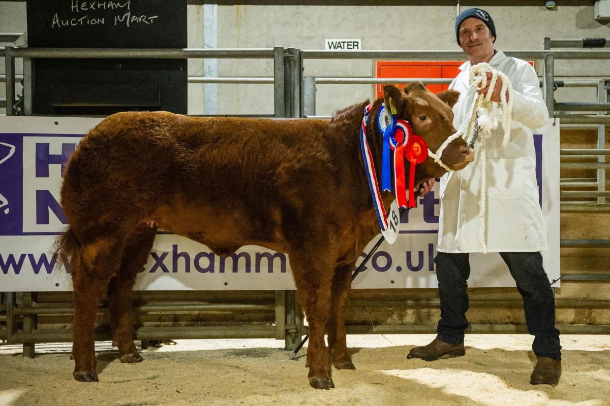 Sale leader at £5000 was the reserve champion from John Smith-Jackson