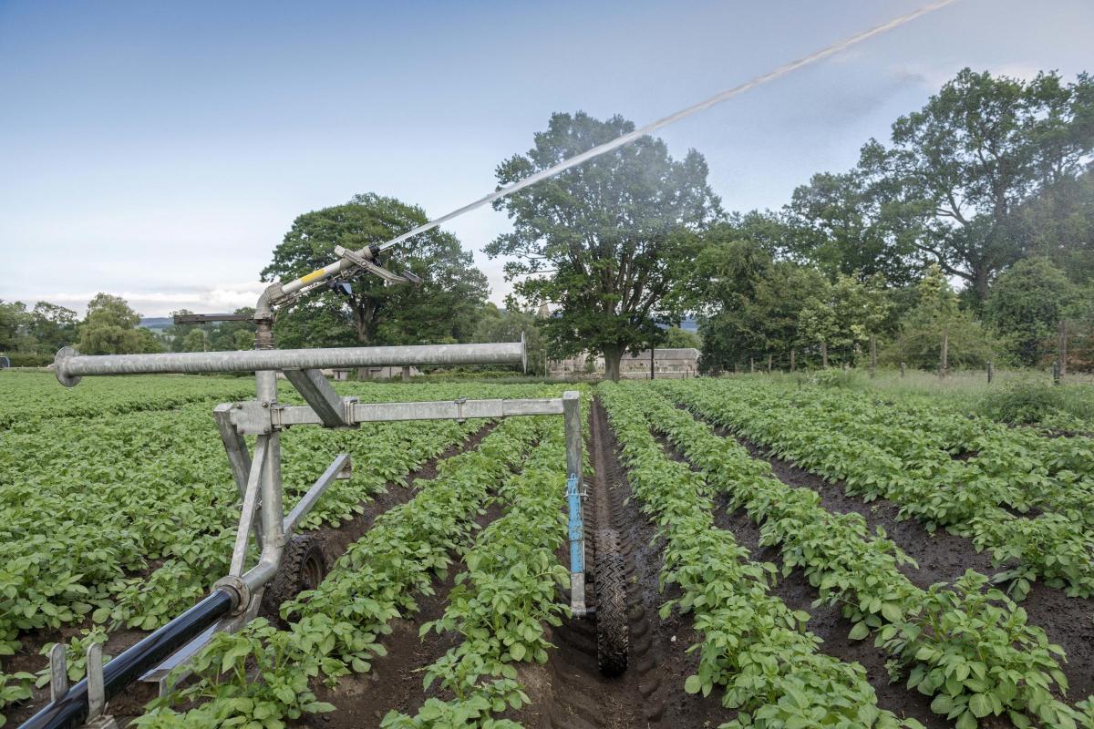 FARMERS are being advised to irrigate at night to reduce evaporation