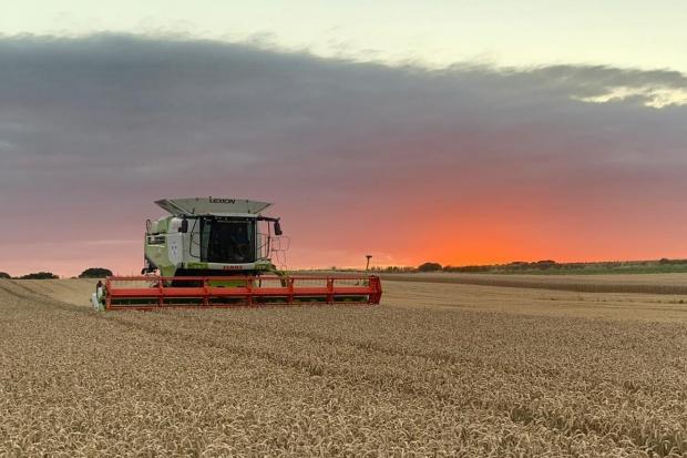 Sunset beckons but the combine keep going in a good crop at Middleton Farm, in Aberdeenshire  (Pic: Ian Thomson)