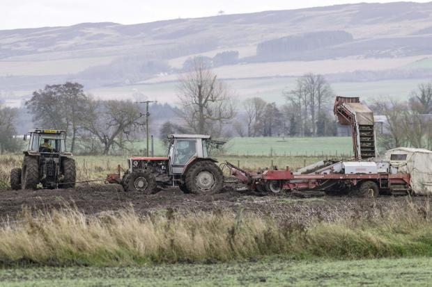 It's a scene common across the potato growing counties of Scotland this year – heavy going lifting the potatoes at Meadowside Farm, Coupar Angus, Perthshire, this past week. It's all been keeping the chains well polished!	Pic: Ron Stephen