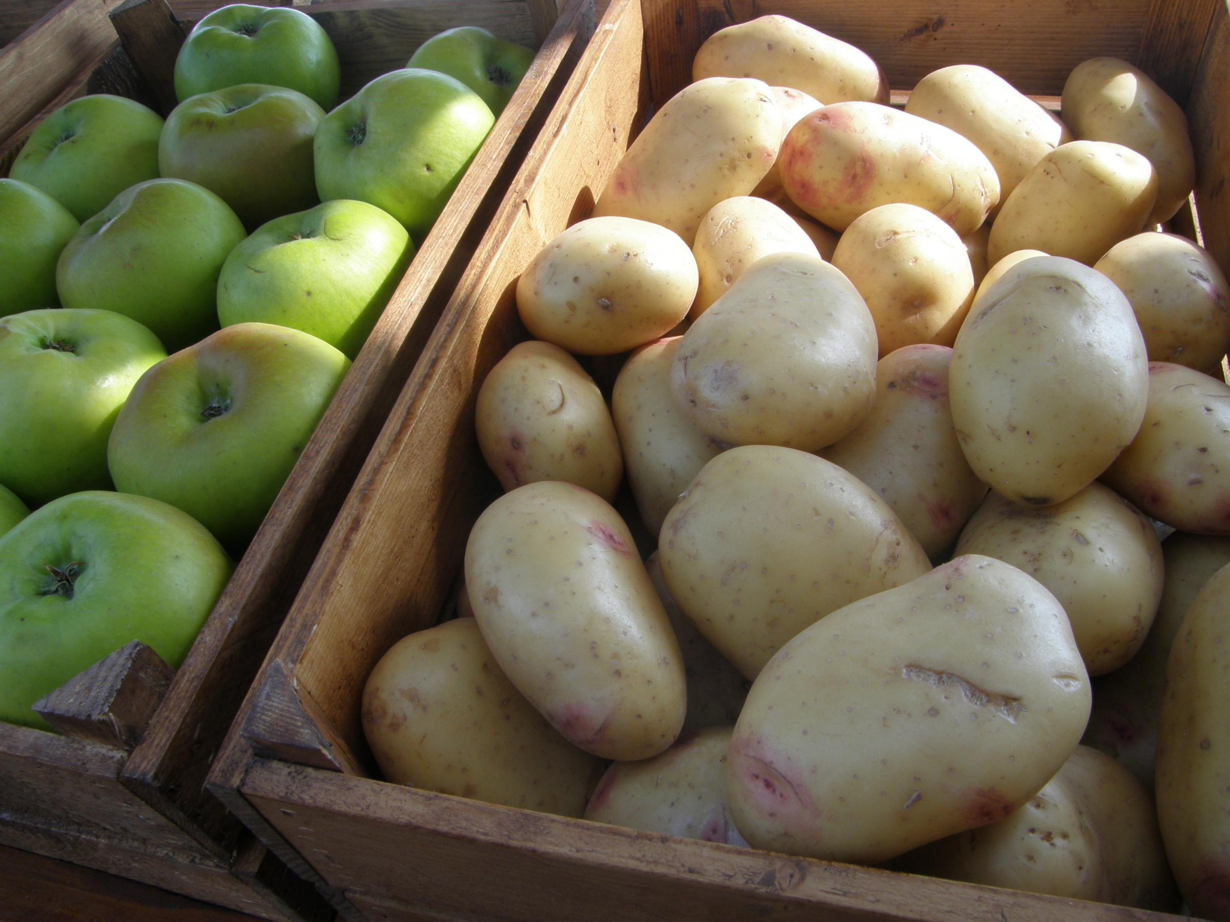Crisp maker turns potato waste into fertiliser