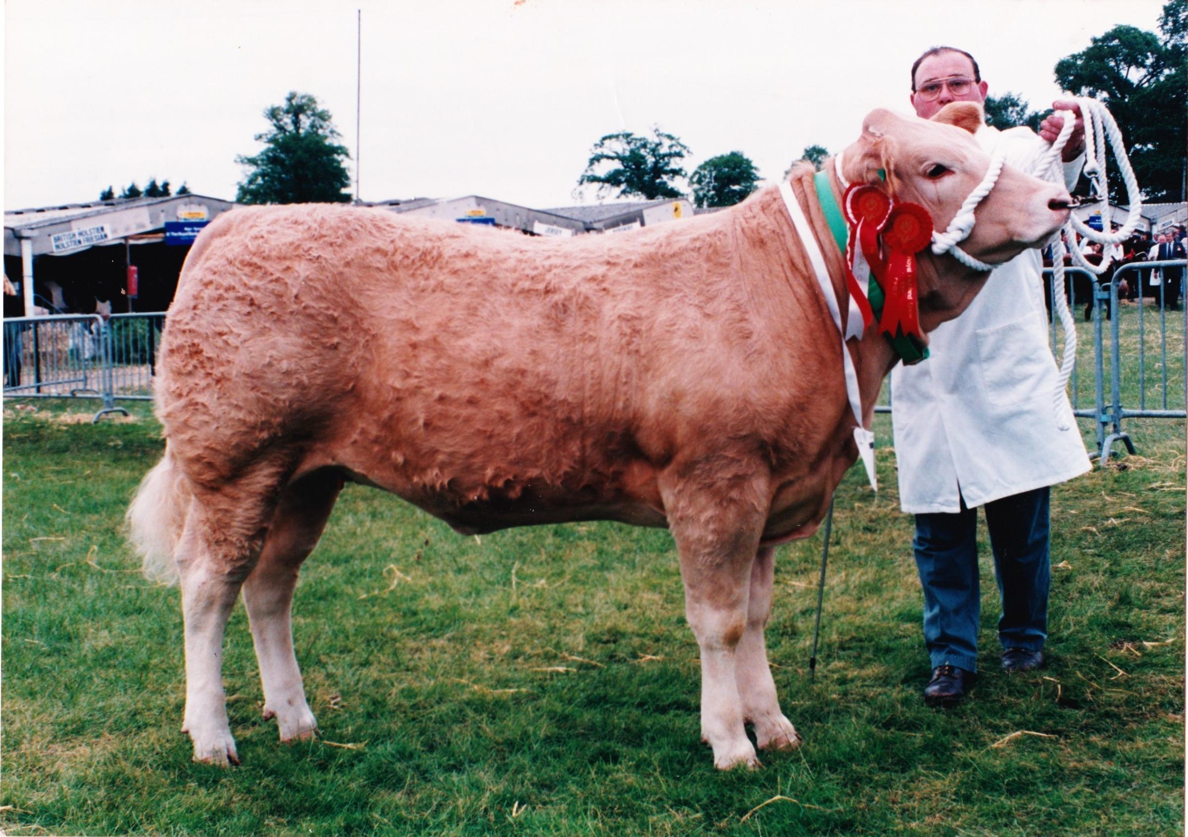 Royal Highland Show commercial cattle champion in 1994 with this Charolais cross heifer, Miss Solitaire was Georges greatest achievement 