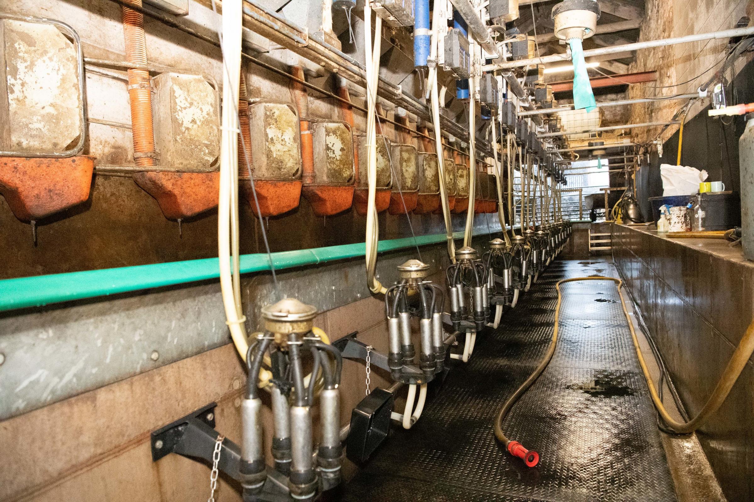 To set up the dairy system in 2018, they bought a second hand 16x16 parlour which Ross had converted to a single sided herringbone to fit into an existing stone barn Ref:RH140121104 Rob Haining / The Scottish Farmer...