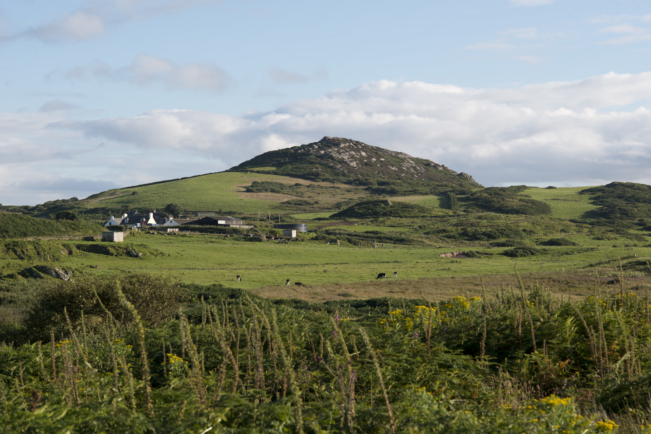 The little farm on the isle of Gigha is home to the Wee Isle Dairy