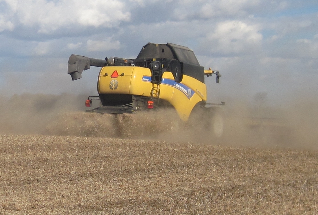 An envious sight - dust flying from the combine as it works in a crop of soya