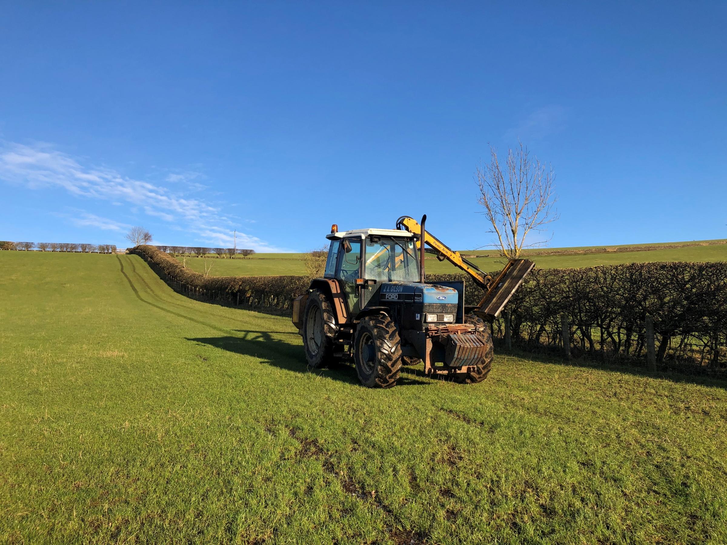 Hedge cutting is another avenue for the Gilstons 