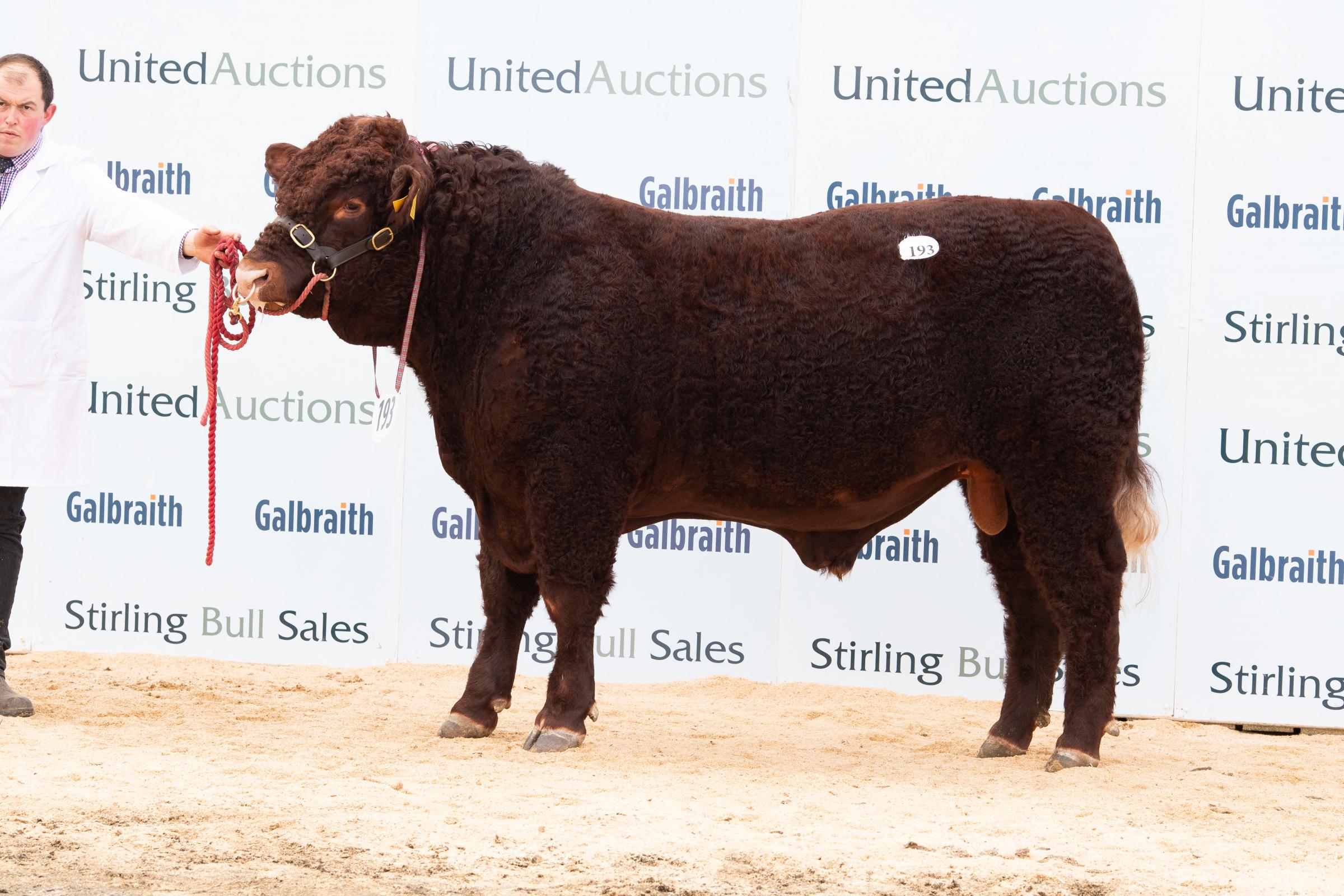  Rednock Oregon from Gill and Malcolm Pye made 7500gns Ref:RH280221446 Rob Haining / The Scottish Farmer...