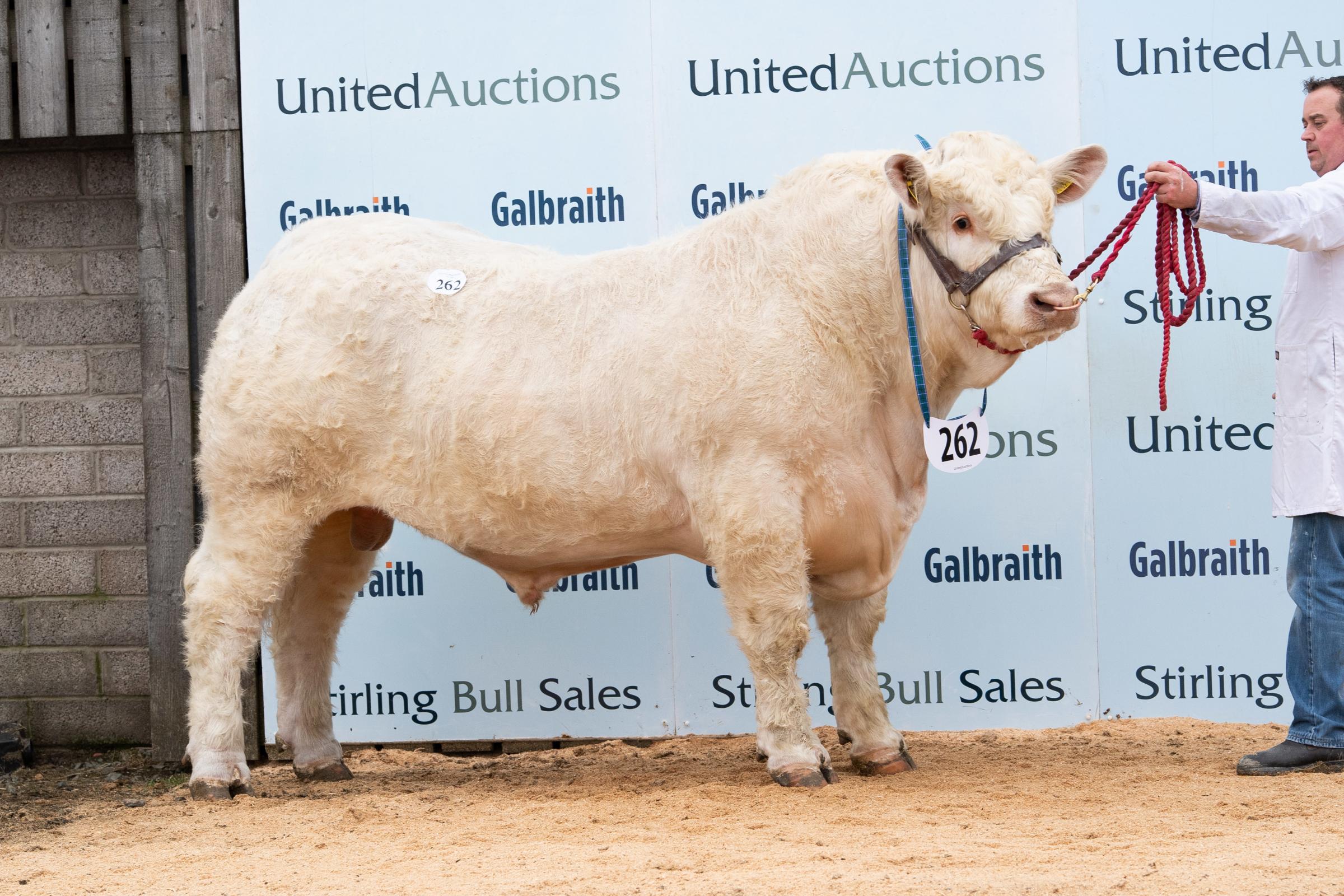 Carwood Pioneer from the Wight family sold for 9000gns Ref:RH280221458 Rob Haining / The Scottish Farmer...