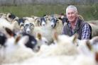 UFU president Victor Chestnutt finds working from home 'relaxing'. He's seen here with some of his Scotch Blackface ewew that are crossed to a Bluefaced Leicester