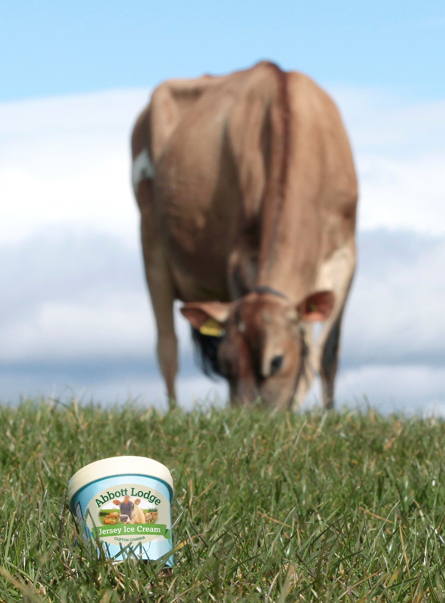 From field to spoon - some of the Blands Jersey herds high quality milk end up in ice-cream sales direct to the public