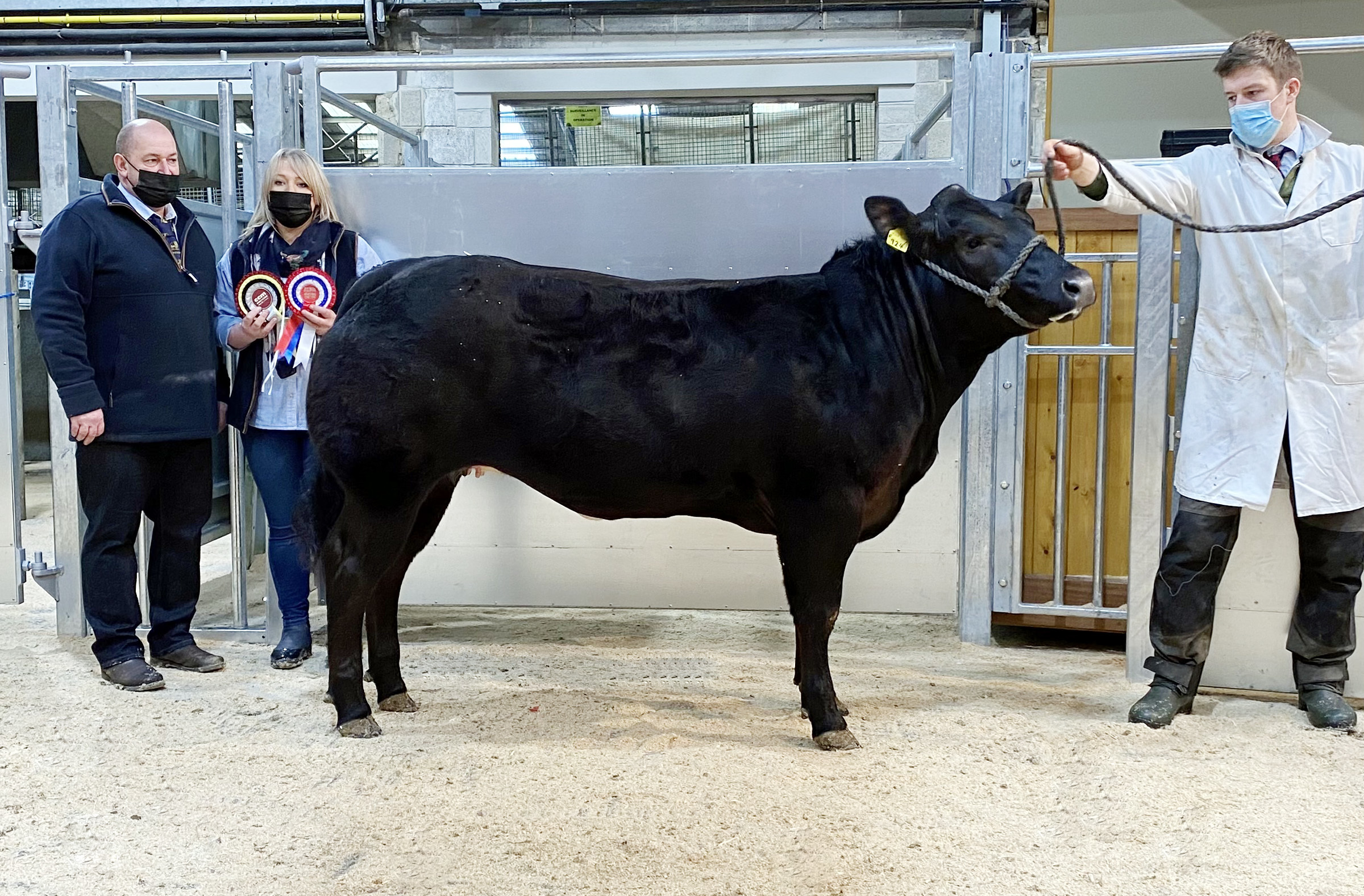 This British Blue cross heifer took champion for the Walker family pictured with the judges, John Mellin and Clare Cropper