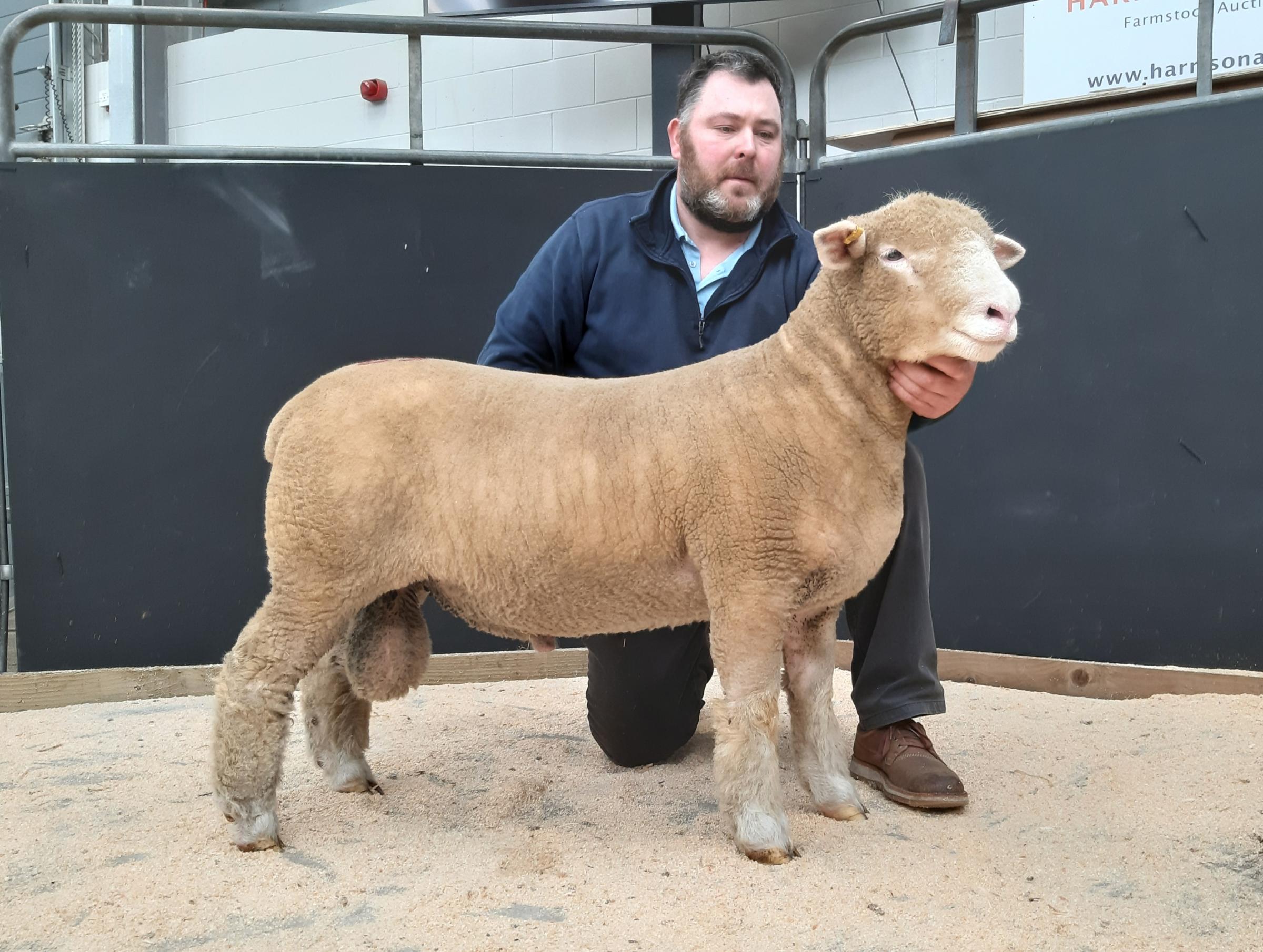 Joint sale leader came from T Wright 