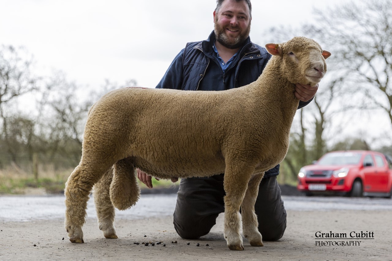 Second top price of 6500gns came from T Wright 