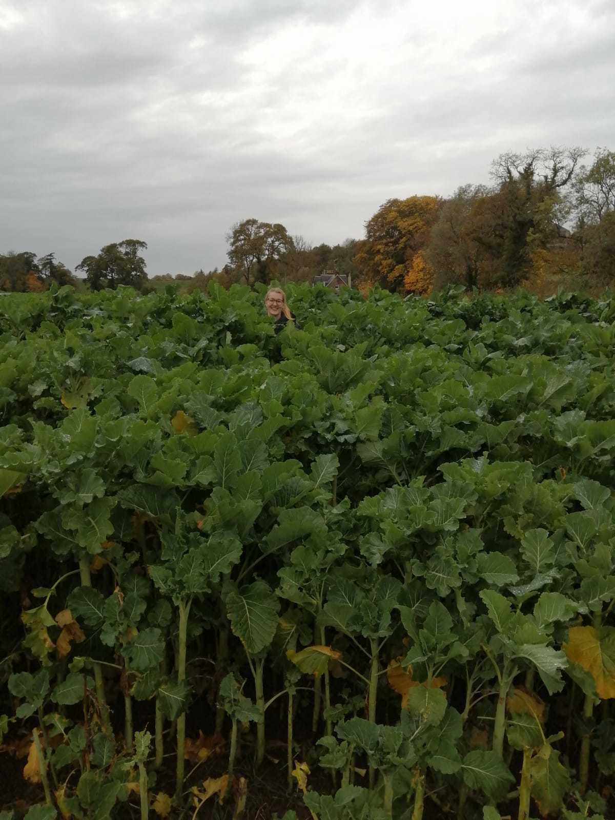 Louise Howat hiding in a Kale field 