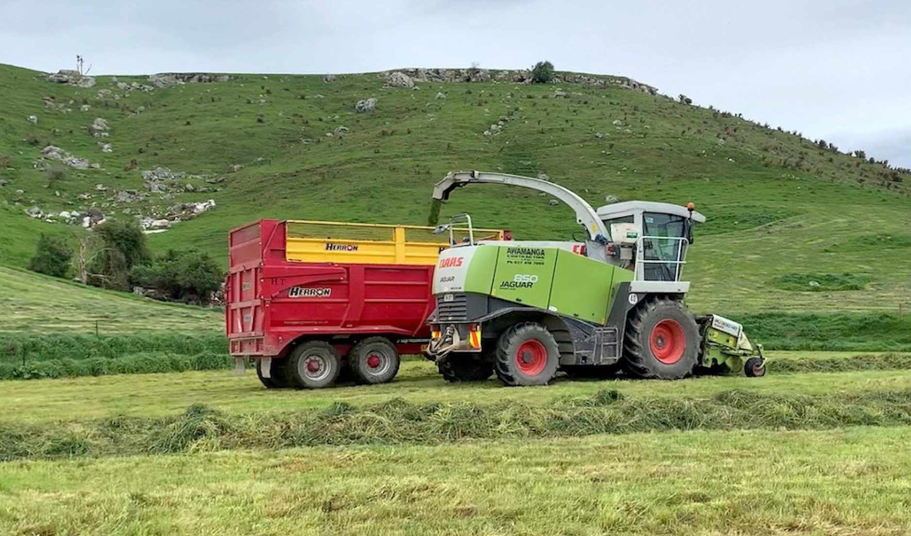 Silage is made throughout the year for winter use.