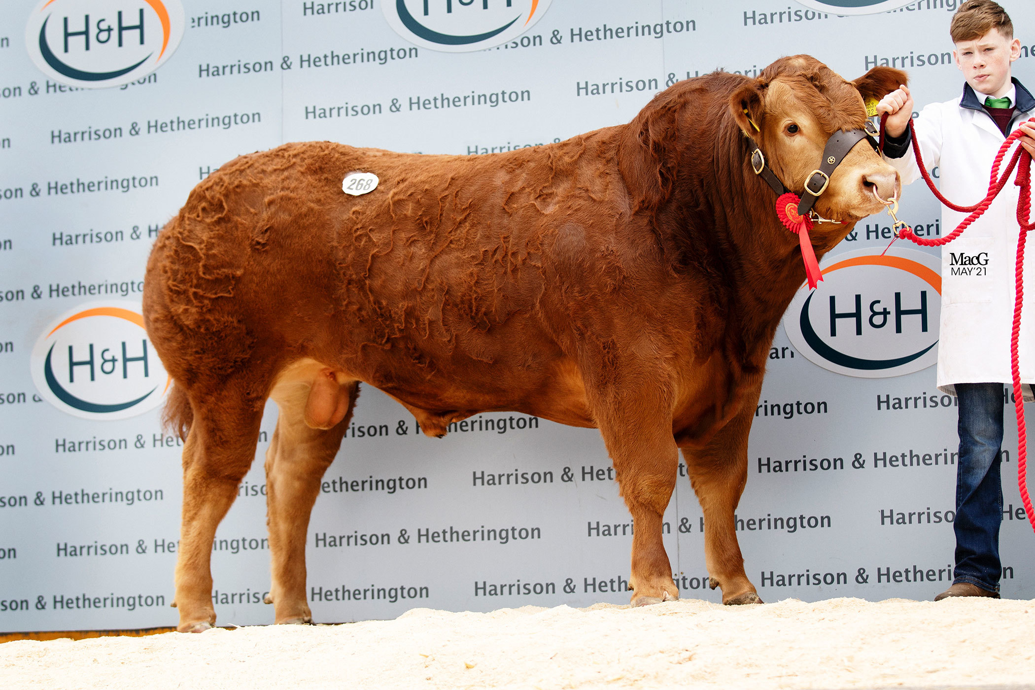 Christine Loughran and her father Michaels Millgate Rob sold for 30,000gns