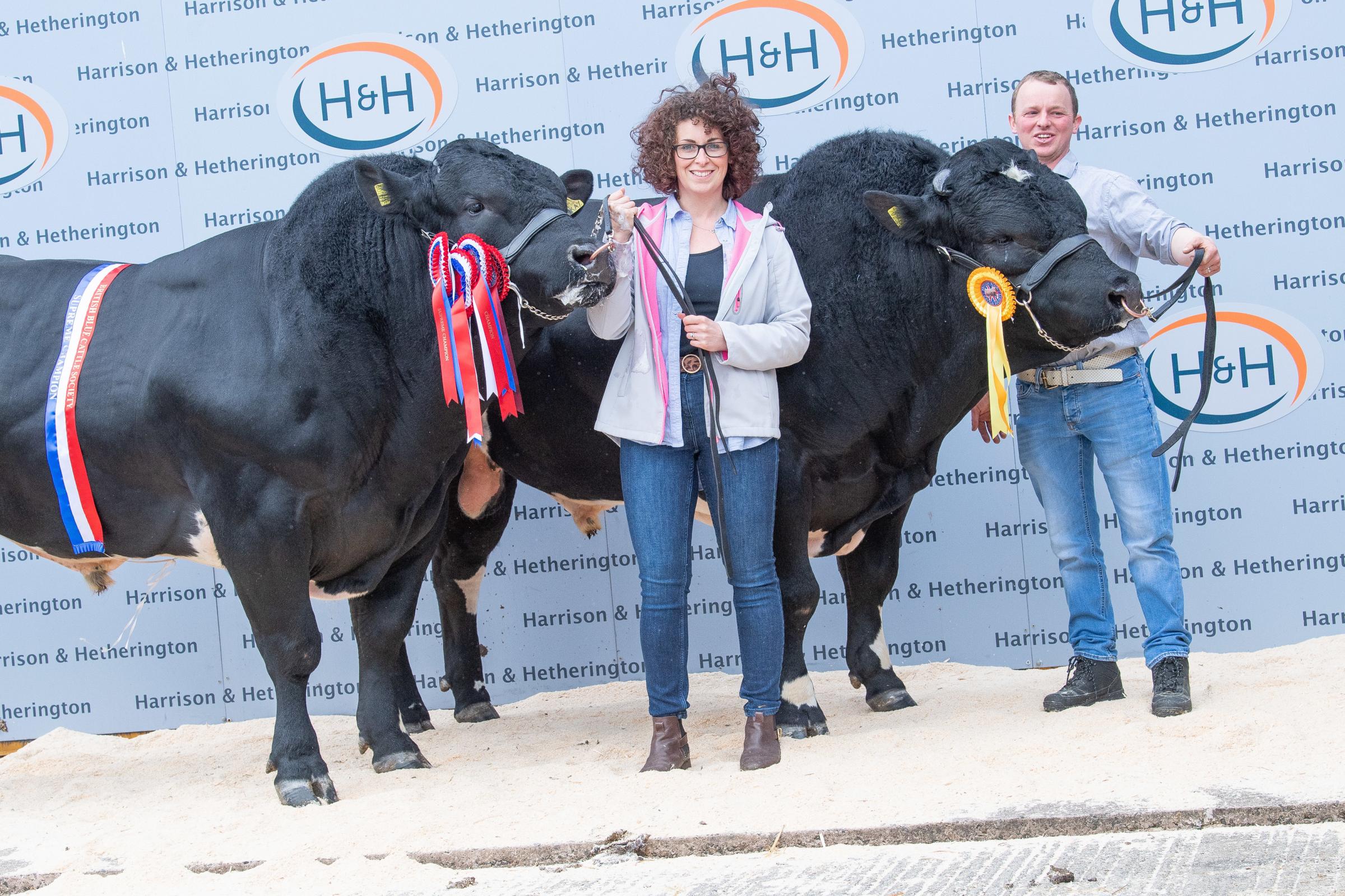 A bumper pack May with pedigree sales at Carlisle - Vimarsana News