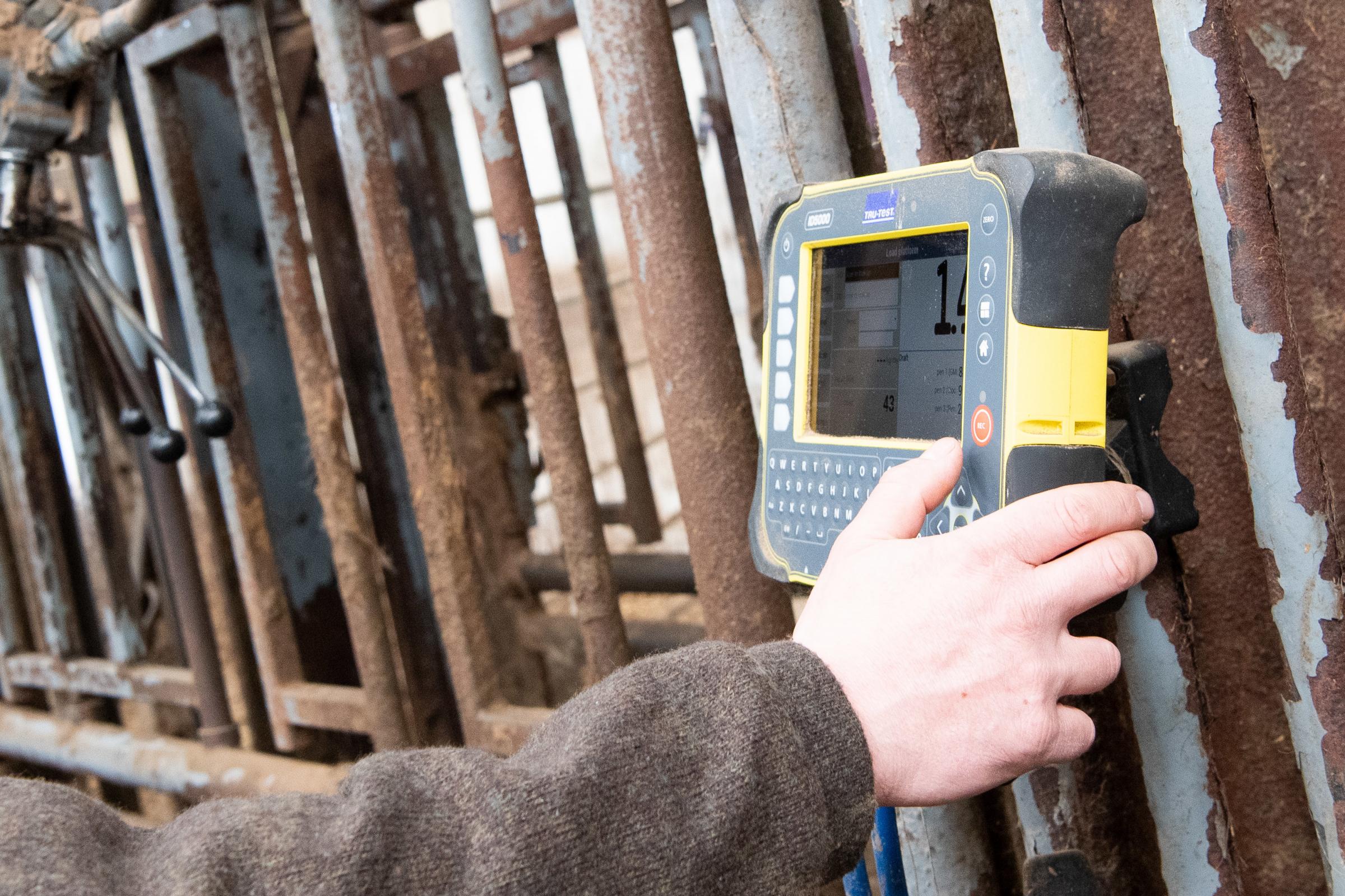 the best investment was the squeeze crush with weighting cells, the Wilsons can easily monitor and dose cattle when required Ref:RH170521144 Rob Haining / The Scottish Farmer...