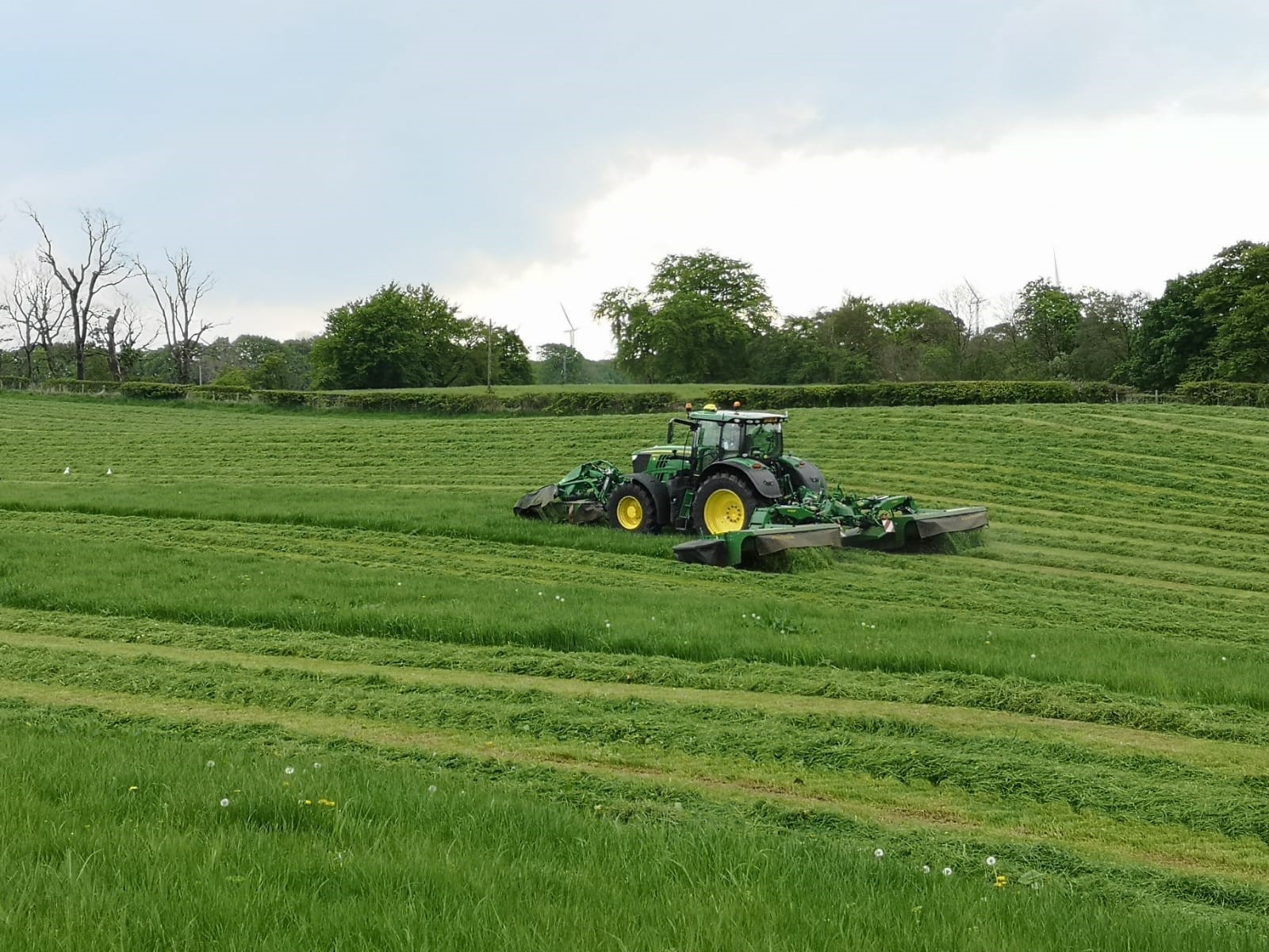 The John Deere 950r triple mowers out at work getting ready for silage 