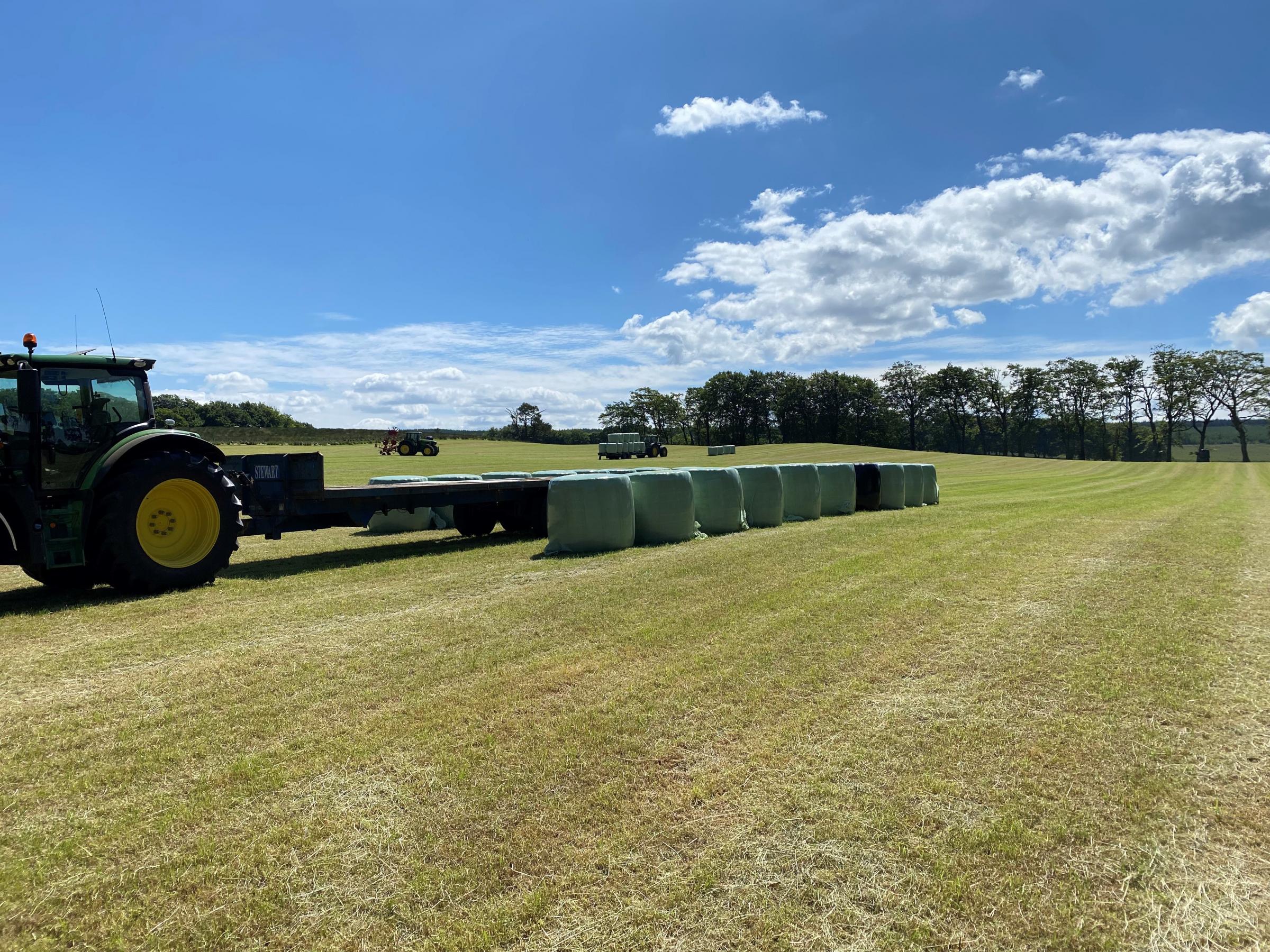 Selling haylage bales is part of the diversification of the business and is one of the most profitable jobs 