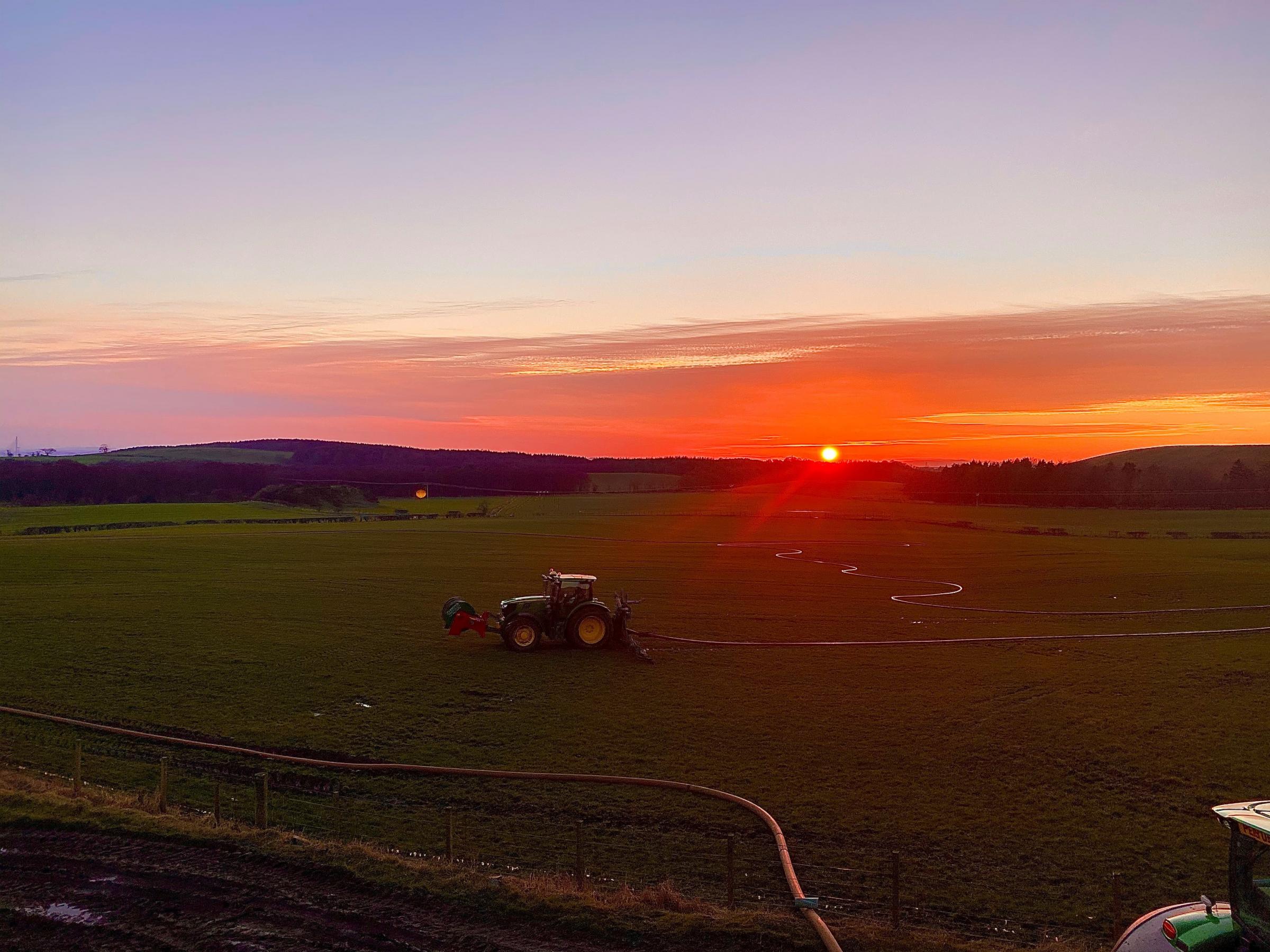 Umbilical slurry is the biggest part of the business, here at sunset hours dont matter come peak season of the business