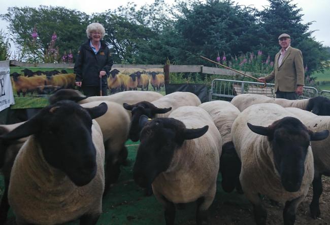 Irene Fowlie and her husband Jim pictured with their Essie Suffolks