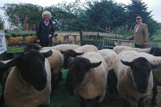 Irene Fowlie and her husband Jim pictured with their Essie Suffolks