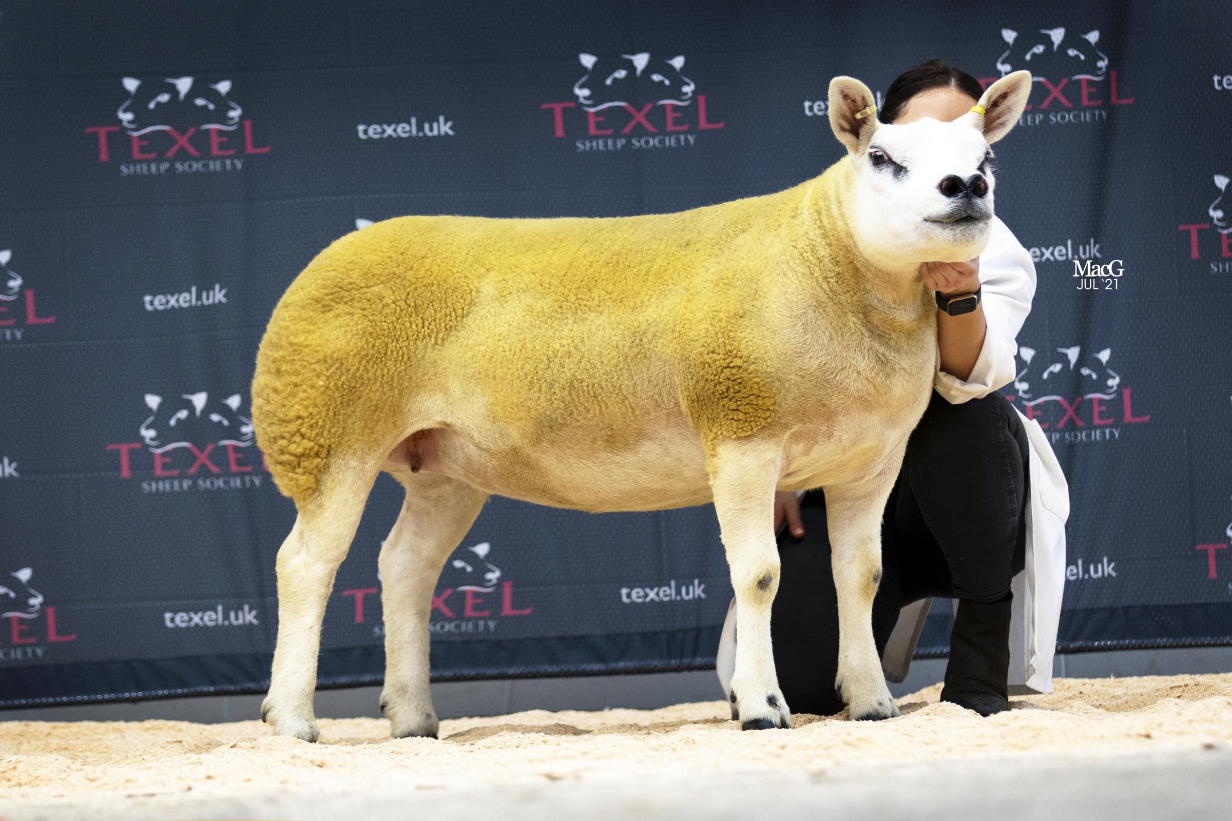 Rosie Boden exhibited the reserve female champion and reserve overall from the Sportsmans flock