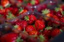 Demand for strawberries was up by 19.85% in the four weeks leading up to June 14
