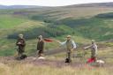 Safety precautions and social distancing is in place for the start of the grouse season here in the Lammermuir Hills (PC: Phil Wilkinson Photography)