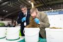 Hugh McClymont  and Jim Warnock are busy judging the silage competition Ref:RH161122051  Rob Haining / The Scottish Farmer...