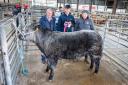 The judge, Walter Dandie (left), purchased this champion from Adam Anderson, pictured with Ryan Briggs (right) for £1760