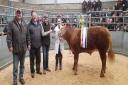 YF champion - Left to right - Andrew Mackay Judge Bill Cameron Dial Mackay and Lyndsey Dunnet