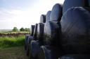 Silage bales.