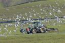 A Co Durham farming business has been fined after land spreading polluted a nearby stream
