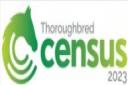 Thoroughbred Census