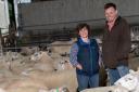 Neil and Debbie McGowan, Incheoch, gearing up for next week's on-farm sale     Ref:RH210819029    Rob Haining / The Scottish Farmer