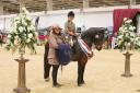 Emily Bastow from Tillicoultry takes the STARS Riding Club Pony Final of 54 entries with her New Forest pony Howen Tawny Owl. Credit Equinational