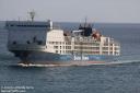 The MV Bahijah was reportedly carrying 15,000 sheep and 2000 cattle