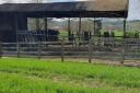 Significant damage caused to the barn by the fire (image credits: Avon and Somerset Police)