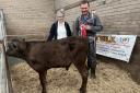 Champion calf came from D J Livingstone, Kirtlevale, Gretna, which later sold for £600