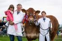 Grahams Ruth was Limousin champion, inter-breed beef and overall champion of champions for Robert and Jean Graham and pictured here with Stewart and Lynsey Bett and daughter Darcie