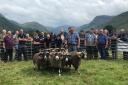 NORTHERN IRELAND’S Brendan McAllister sorts out a class of shearling rams at last weekend’s Cowal Blackface Show, where Jimmy and Donald MacGregor, Dyke, Milton of Campsie, won with a one-crop ewe. Report on page 25