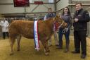 Beth Douglas' champion, a 494kg Limousin cross heifer, sold to the judge, Andrew Ingram, for £1720