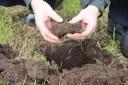 A friable soil with good numbers of earthworms and the right balance of nutrients combines the physical, biological and chemical factors needed for a healthy soil and a healthy crop