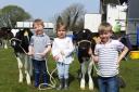 SCOTLAND’S summer show season kicked off amid glorious sunshine at Kilmaurs last Saturday. Pictured here, cousins David Caldwell (3), Beth Allison (2) and Alistair Caldwell (6) proudly show off their grandfather, Tom Smith’s calves from Low Wa