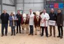 Champion and reserve heifers from Shane and Paul McDonald, Coolcran and Richard McCulloch, Over Hillhouse, sold for 26,000gns and 18,000gns respectively