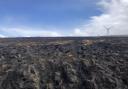 The Moray wildfire of 2019 left miles of devastated land in its wake