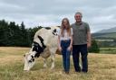 Matthew Armour and his daughter Jasmine who is keen on showing her own red and white Holstein calves, with Annandale Gerrard Kimberley Ex93